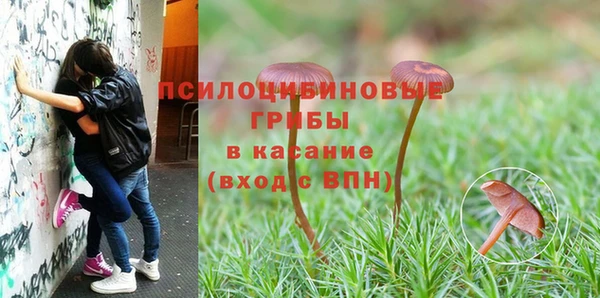 MESCALINE Абинск