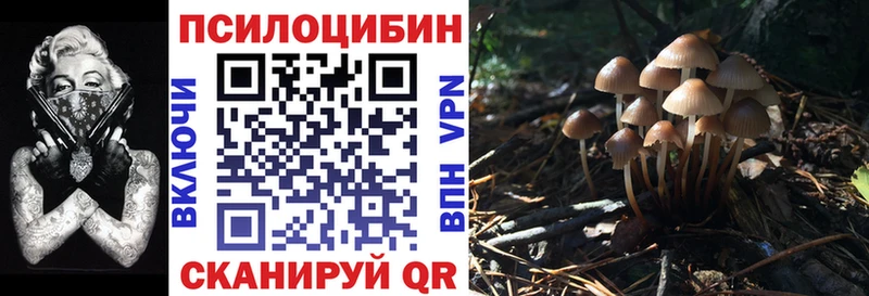 даркнет телеграм  Княгинино  Галлюциногенные грибы GOLDEN TEACHER  купить закладку 